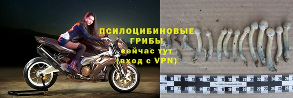 a pvp Белокуриха