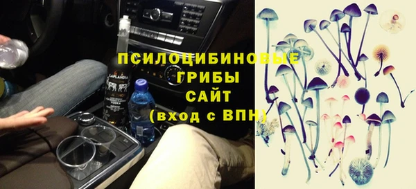 a pvp Белокуриха