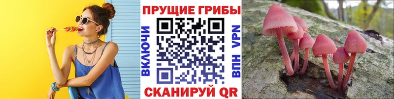 это наркотические препараты  Цоци-Юрт  Псилоцибиновые грибы мухоморы 